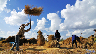 Will food shortages force us to become vegetarians?